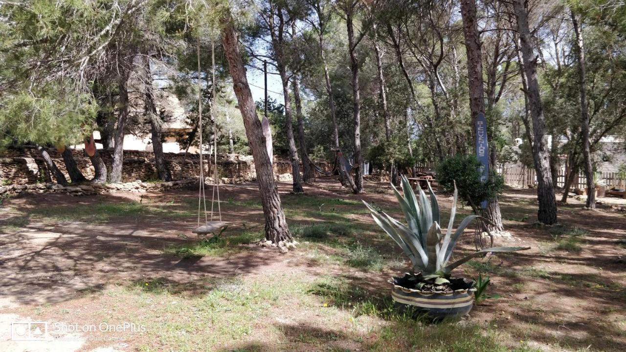 San Francisco Javier Casa Bejaヴィラ エクステリア 写真